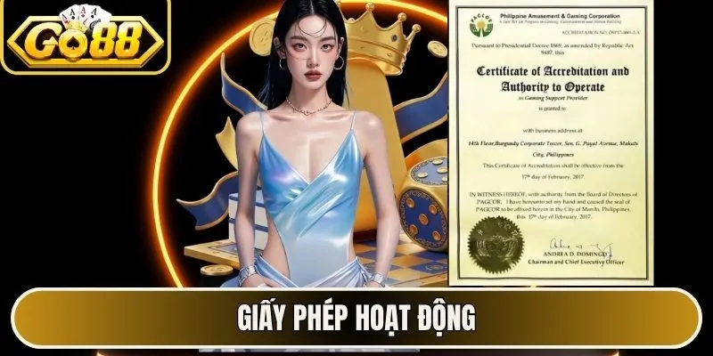 Giấy phép hoạt động
